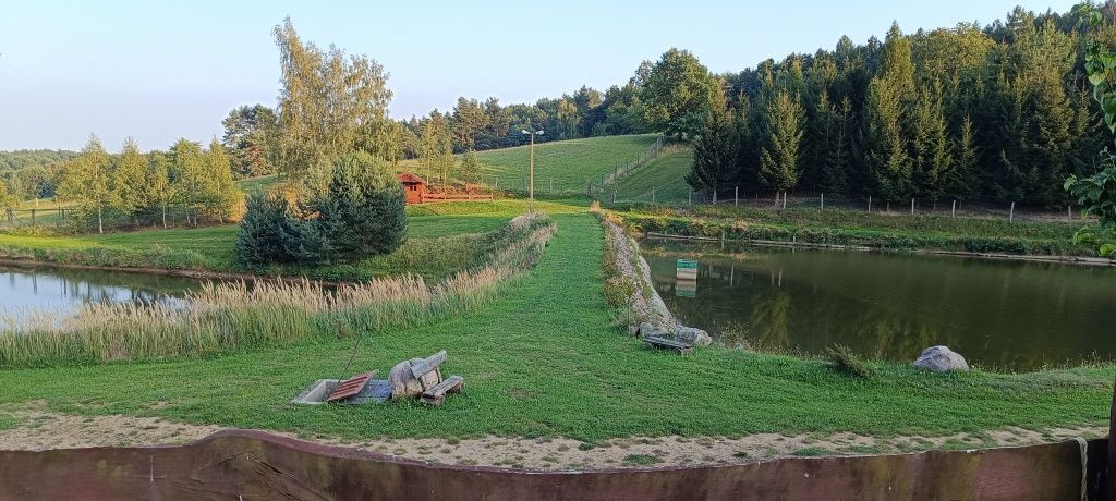 Lokal Lutomia Górna. Zdjęcie 5