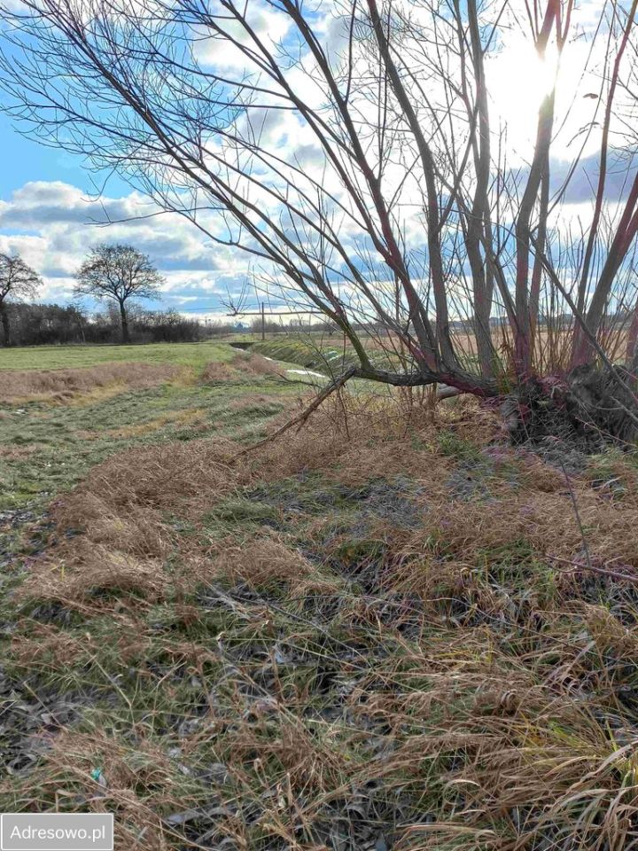 Działka budowlana Warszawa Białołęka, ul. Prowansalska. Zdjęcie 3