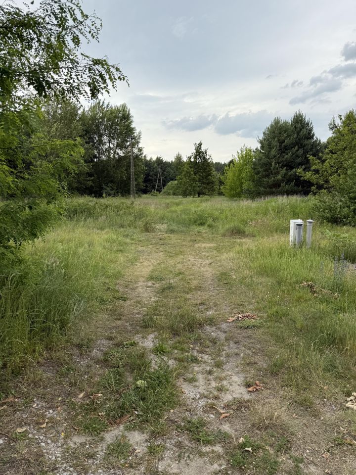 Działka inwestycyjna Dąbrowa Chełmińska, ul. Bazowa. Zdjęcie 7