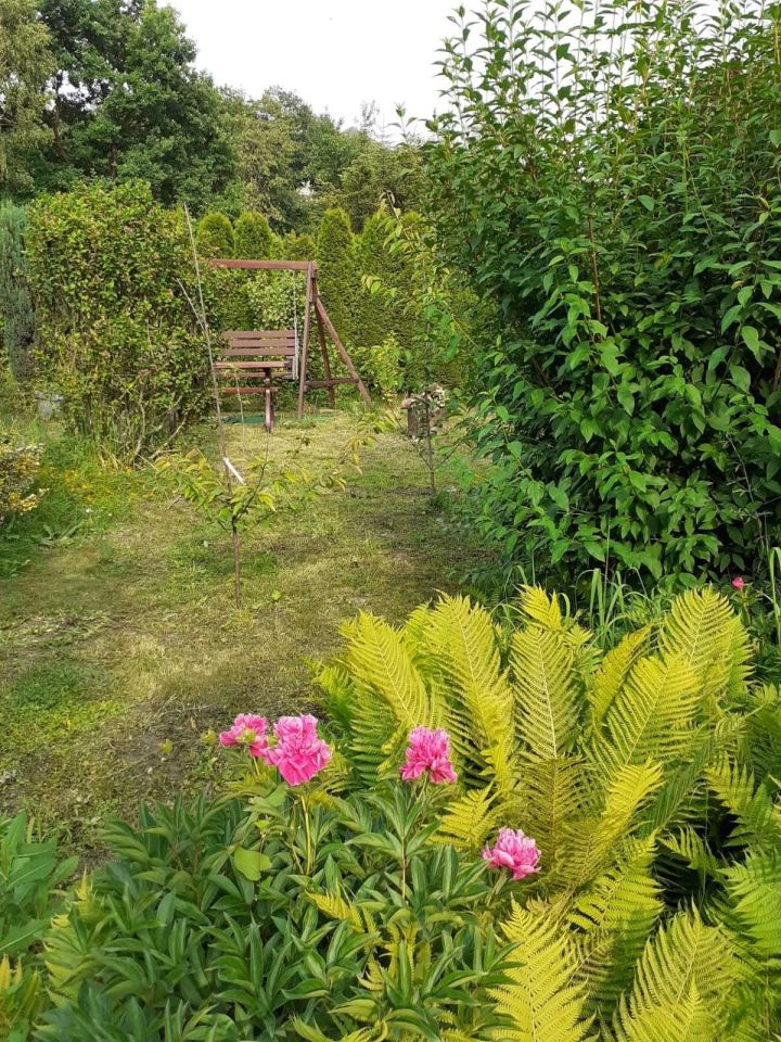 Działka rod Nowy Sącz, ul. Jadwigi Wolskiej. Zdjęcie 8