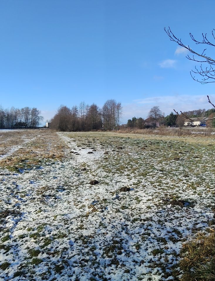 Działka budowlana Borów Nowy Borów. Zdjęcie 8