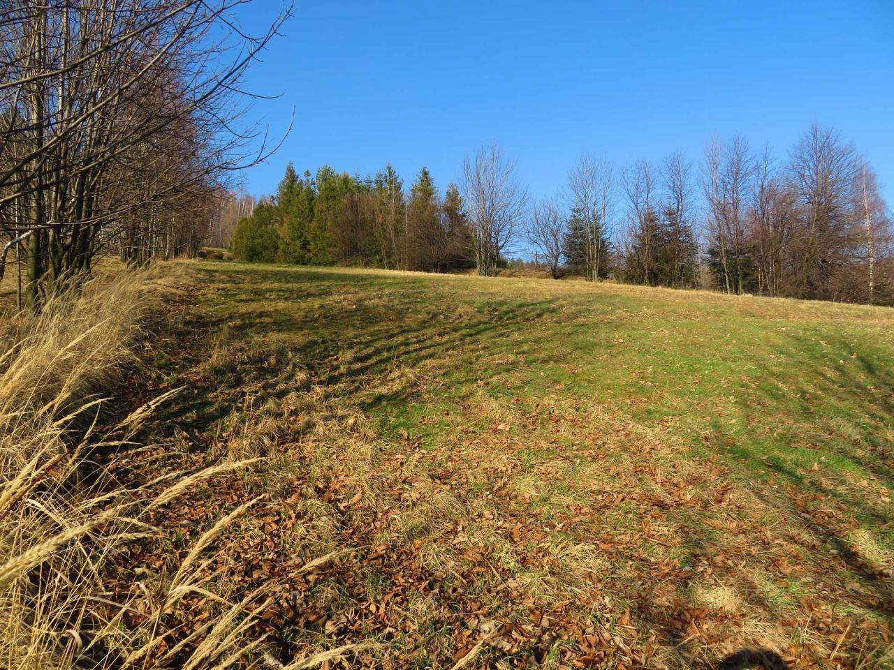 Działka budowlana Targanice