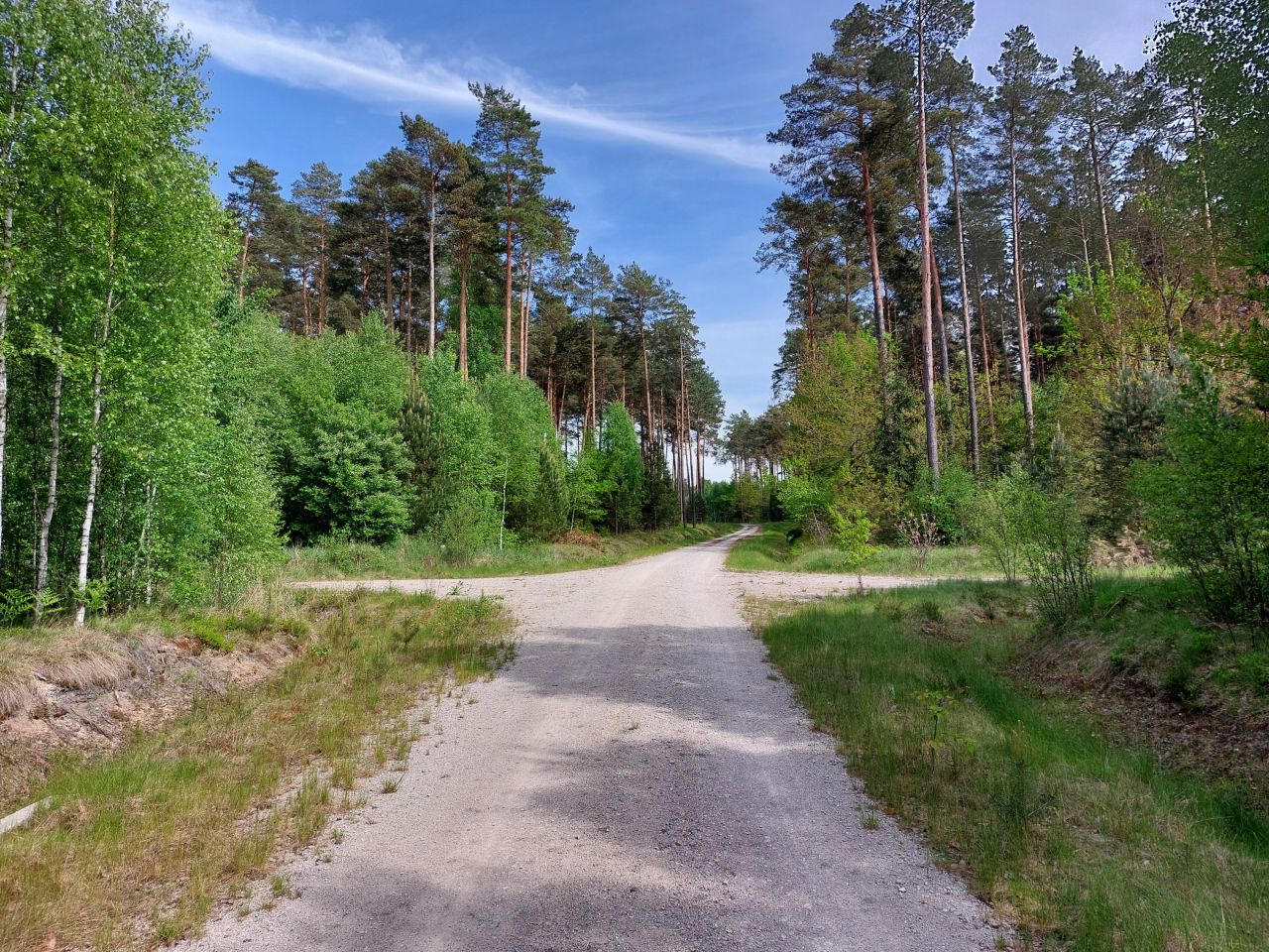 Działka rekreacyjna Starzechowice Sęp, BRAK. Zdjęcie 23