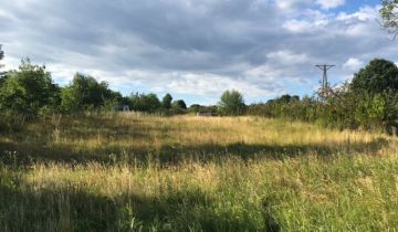 Działka rolno-budowlana Kazimierz Dolny Cholewianka
