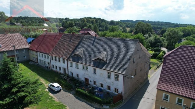 dom wolnostojący, 9 pokoi Złotniki Lubańskie. Zdjęcie 1