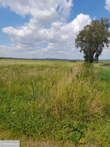 Działka rolna Konstantynowo. Zdjęcie 1