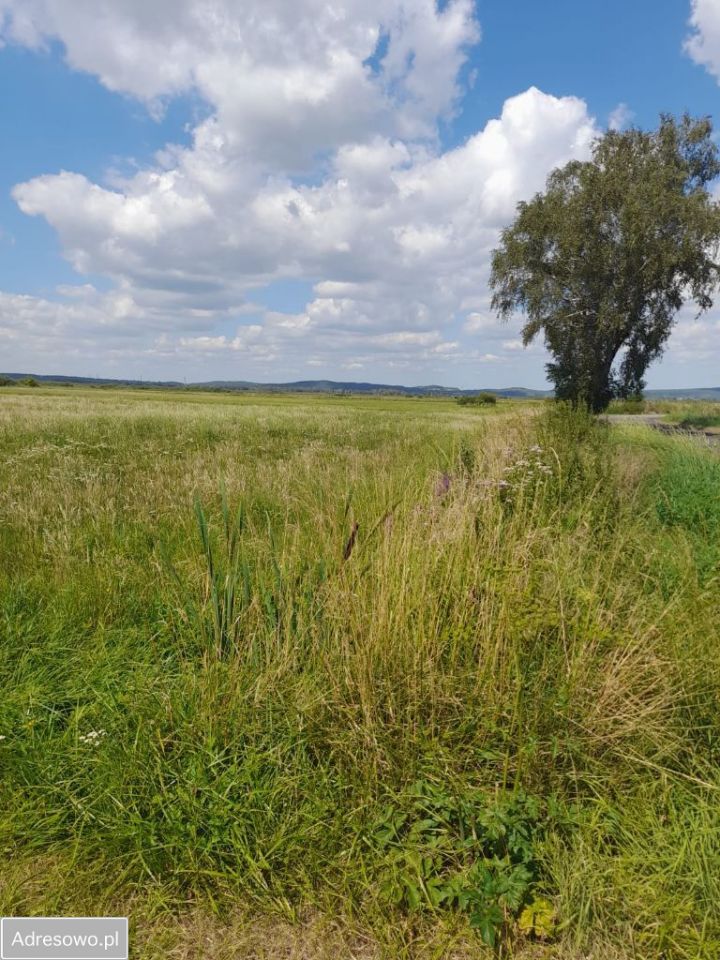 Działka rolna Konstantynowo. Zdjęcie 1