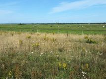 Działka inna Karwieńskie Błoto Pierwsze. Zdjęcie 1