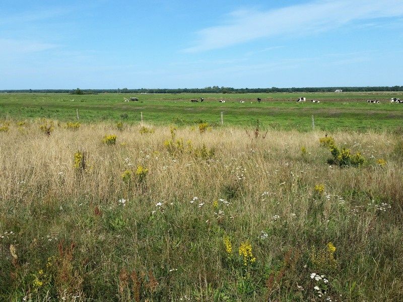 Działka inna Karwieńskie Błoto Pierwsze. Zdjęcie 2