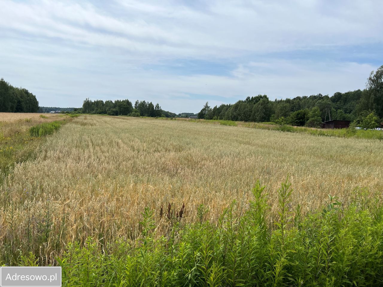 Działka rolno-budowlana Borek Miński