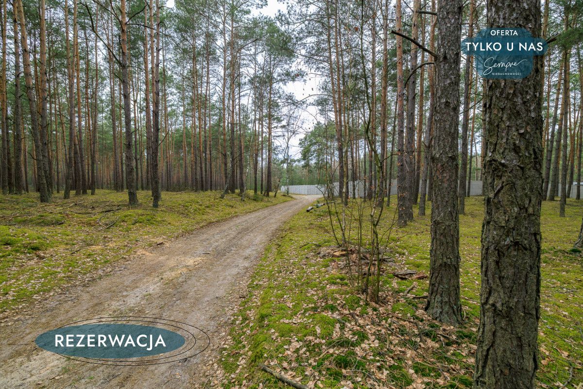 Działka leśna Kije. Zdjęcie 24