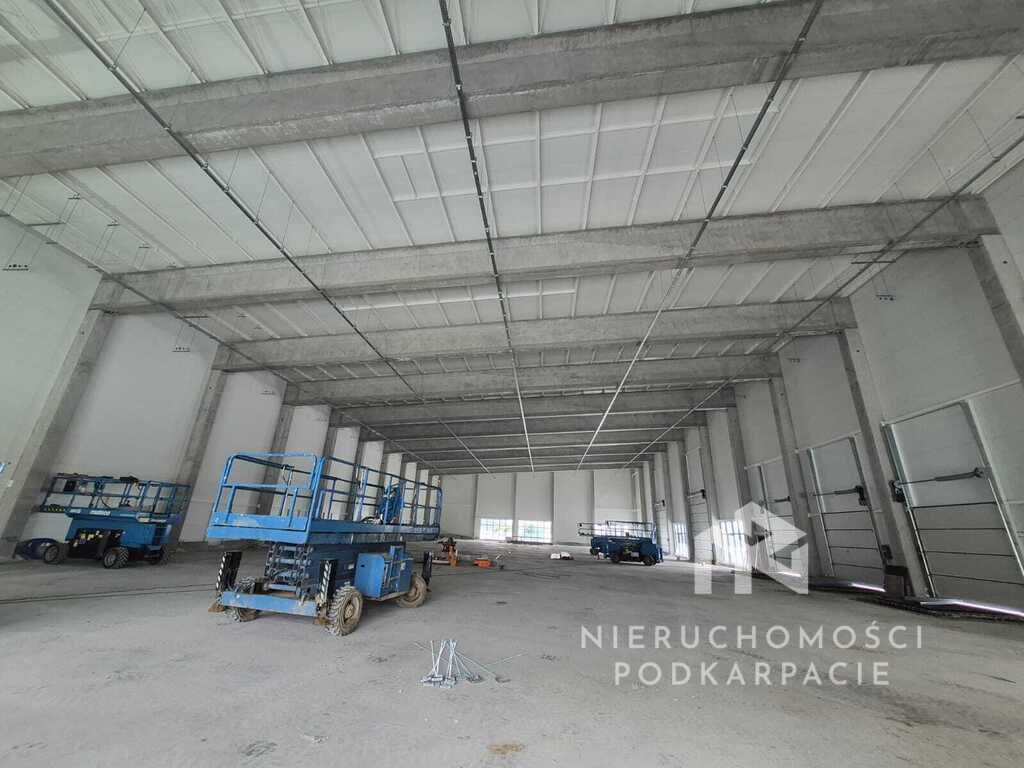 Hala/magazyn Rzeszów Dworzysko, ul. Biznesowa. Zdjęcie 4