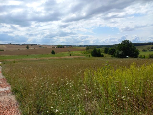 Działka rolno-budowlana Głotowo. Zdjęcie 1