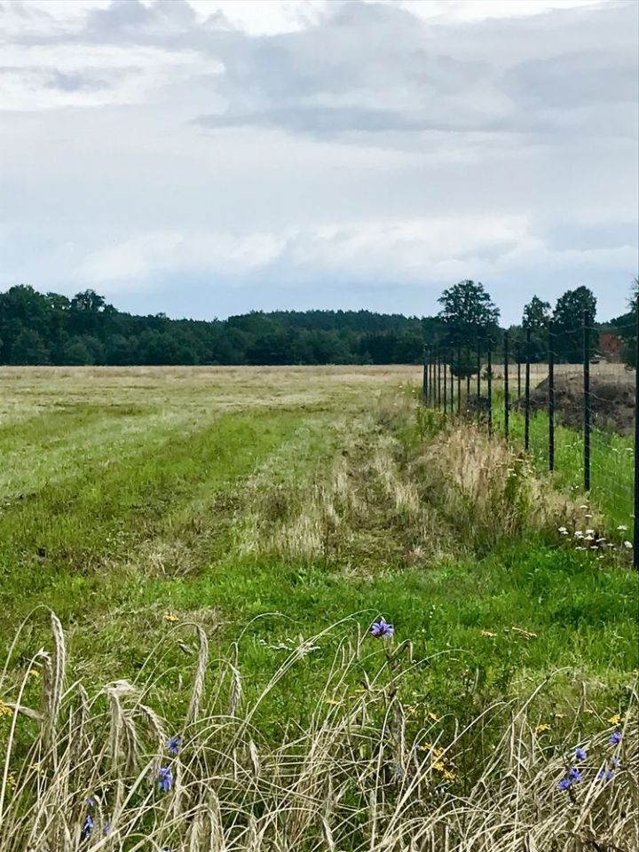 Działka budowlana Studzieniec. Zdjęcie 2