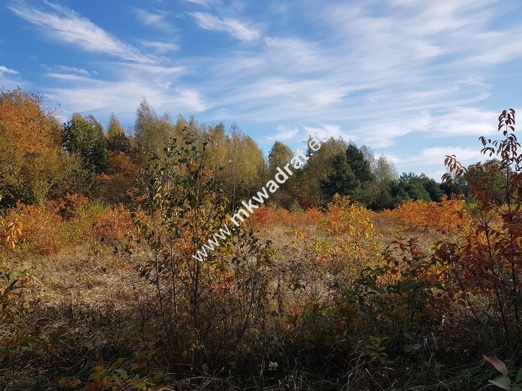 Działka budowlana Grabina Radziwiłłowska. Zdjęcie 4