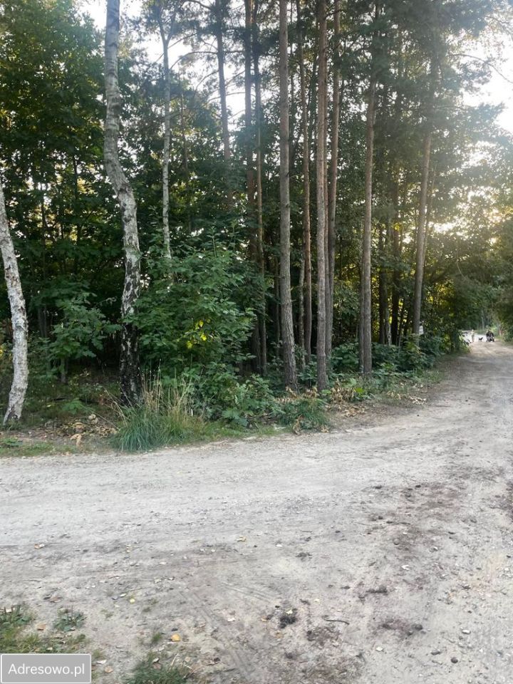Działka budowlana Żarki-Letnisko, ul. Podleśna. Zdjęcie 3