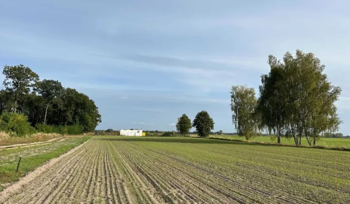 Działka budowlana Jezierzyce Kościelne