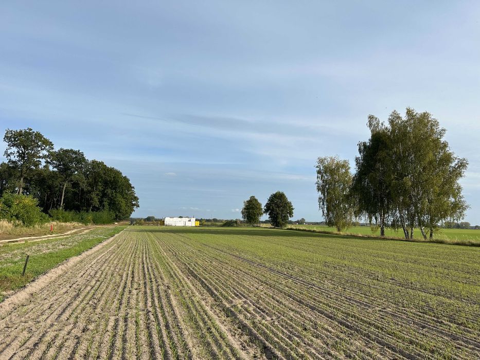 Działka budowlana Jezierzyce Kościelne. Zdjęcie 1
