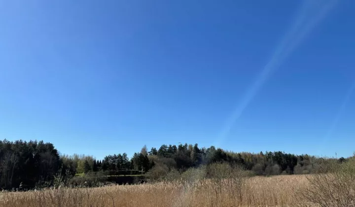 Działka rolna Bożepole Królewskie