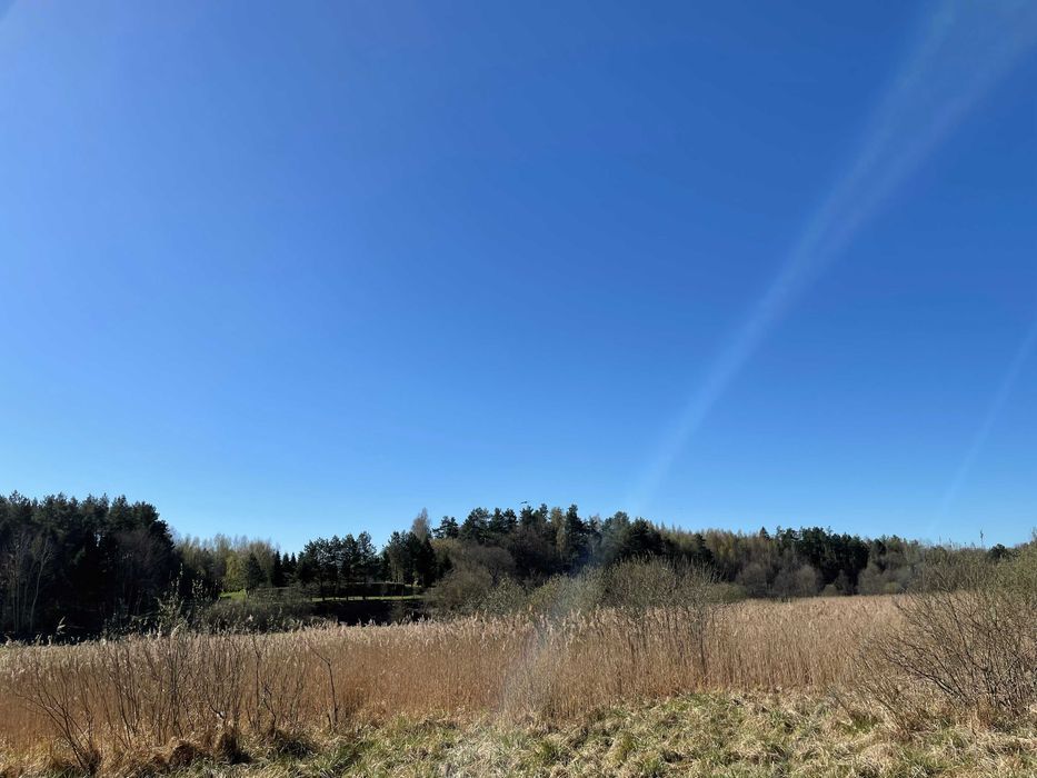 Działka rolna Bożepole Królewskie. Zdjęcie 1