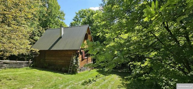 Działka rekreacyjna Czułów. Zdjęcie 1