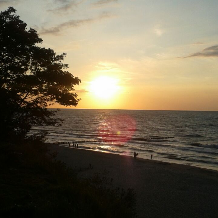 Działka budowlana Gostyń. Zdjęcie 5