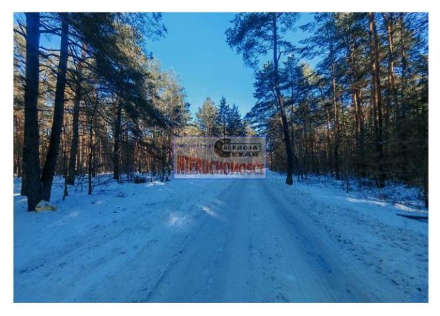 Działka leśna Tartak, Azaliowa. Zdjęcie 5