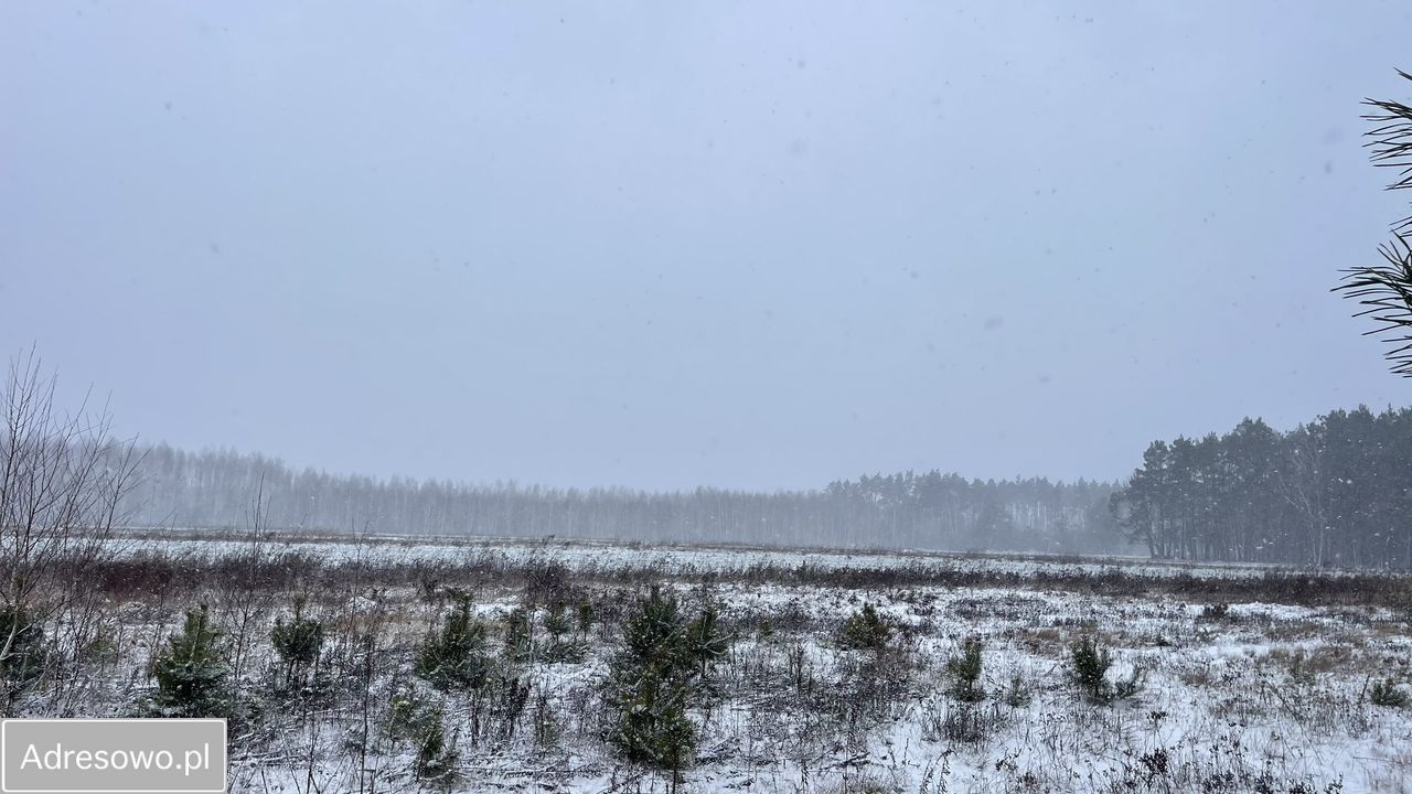 Działka budowlana Siestrzeń. Zdjęcie 3