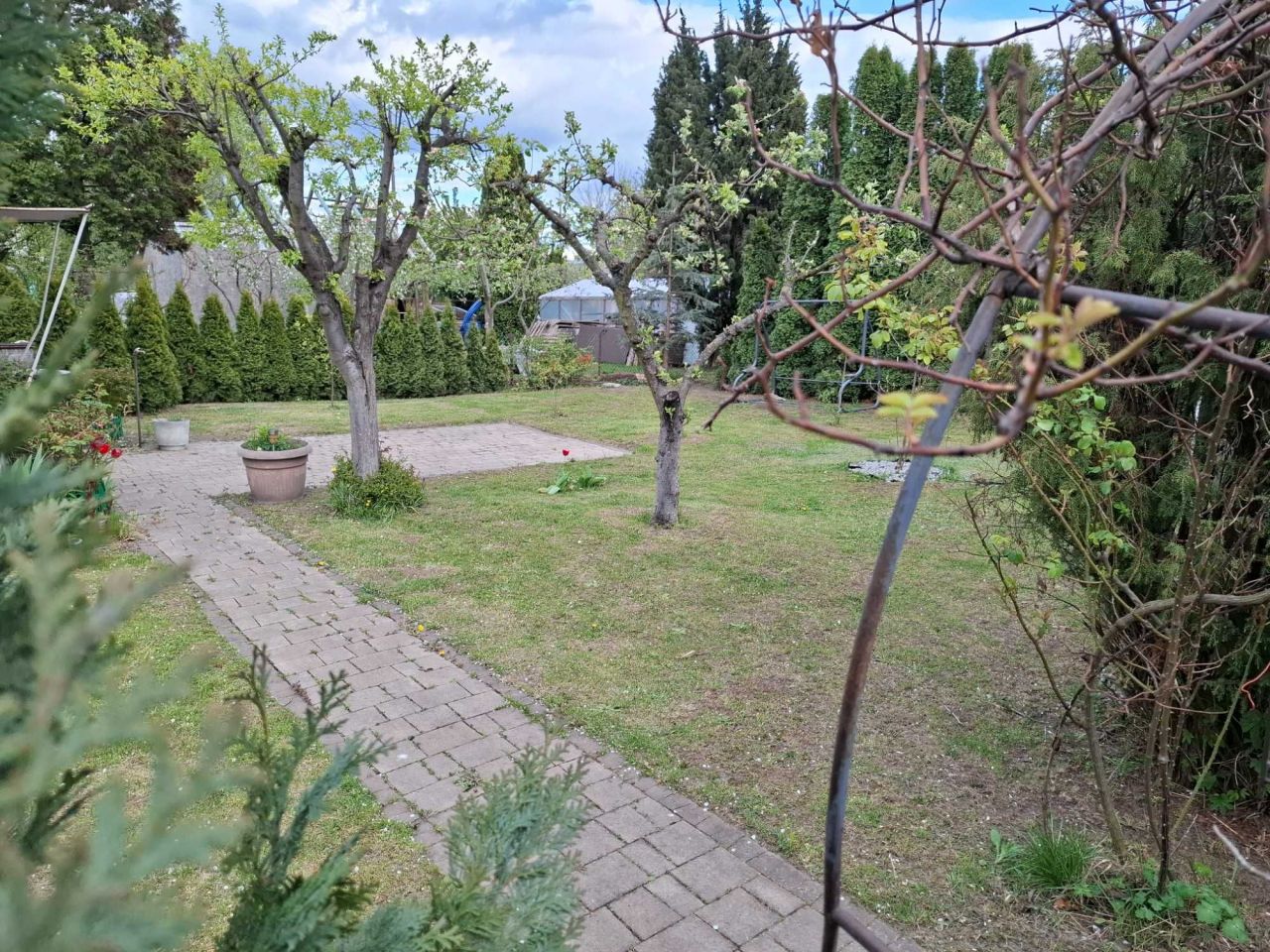 Działka rod Warszawa Praga-Północ, ul. Jagiellońska. Zdjęcie 4