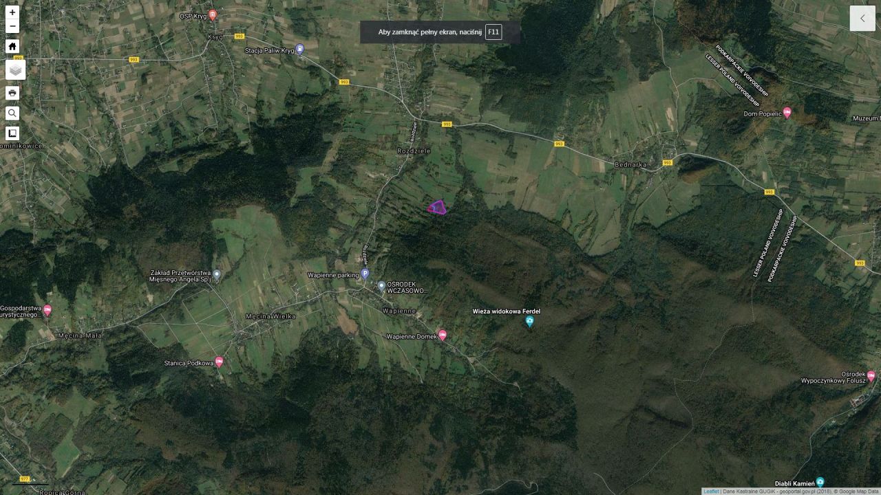 Działka rolna Rozdziele. Zdjęcie 3