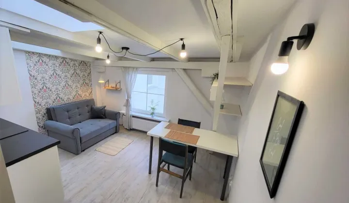 Mieszkanie 1-pokojowe Łódź Śródmieście, ul. Wólczańska