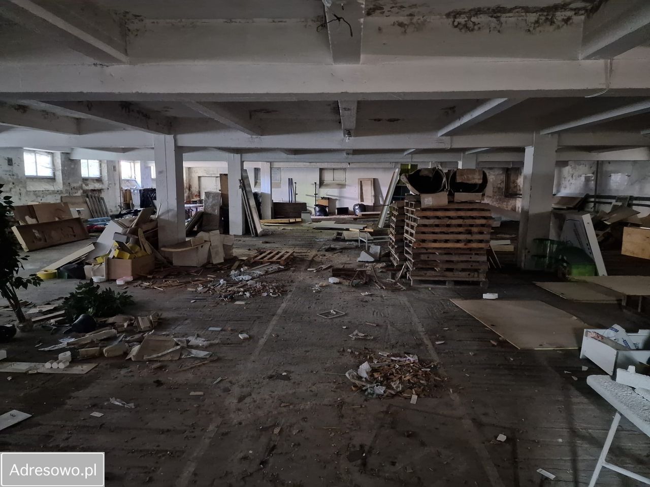 Hala/magazyn Chełm, ul. Hrubieszowska. Zdjęcie 3
