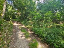 Działka budowlana Krosino, Krosino. Zdjęcie 2