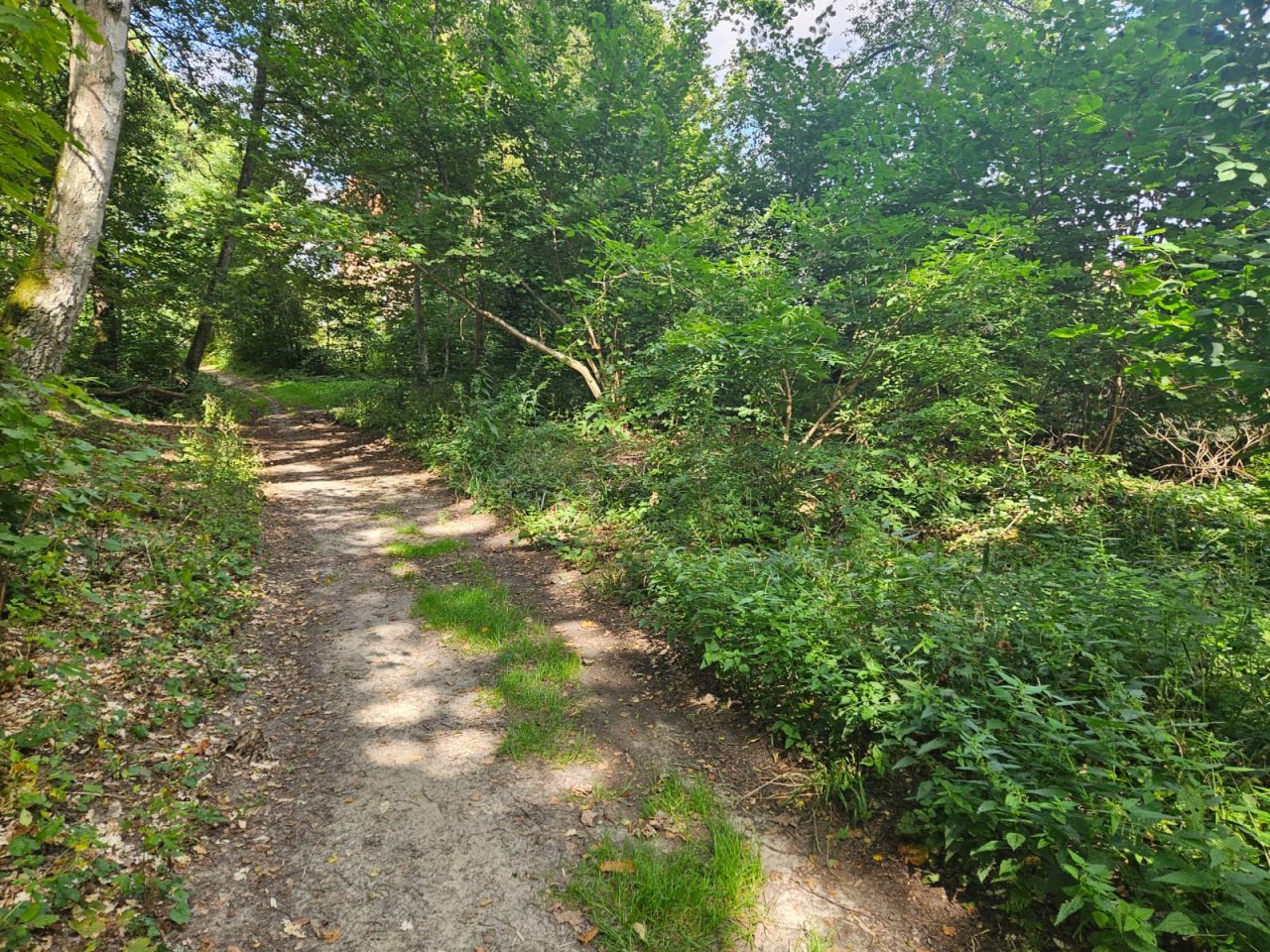 Działka budowlana Krosino, Krosino. Zdjęcie 3