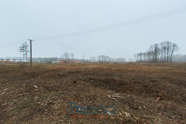 Działka budowlana Opaleniec. Zdjęcie 4