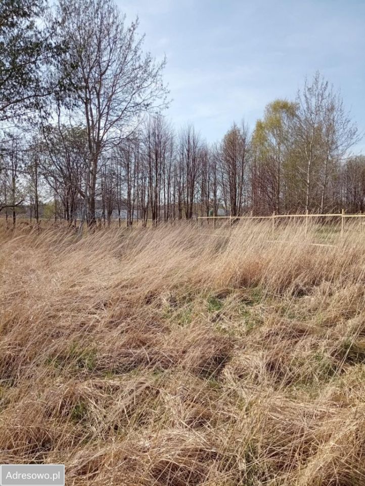 Działka budowlana Głogów Małopolski. Zdjęcie 5