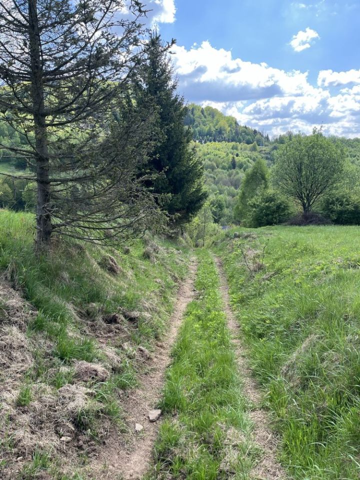 Działka budowlana Mutne. Zdjęcie 2
