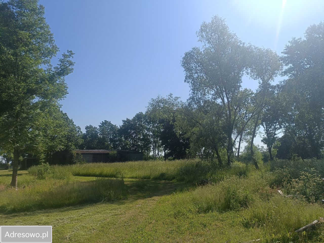 dom wolnostojący, 5 pokoi Niedrzew Drugi. Zdjęcie 2