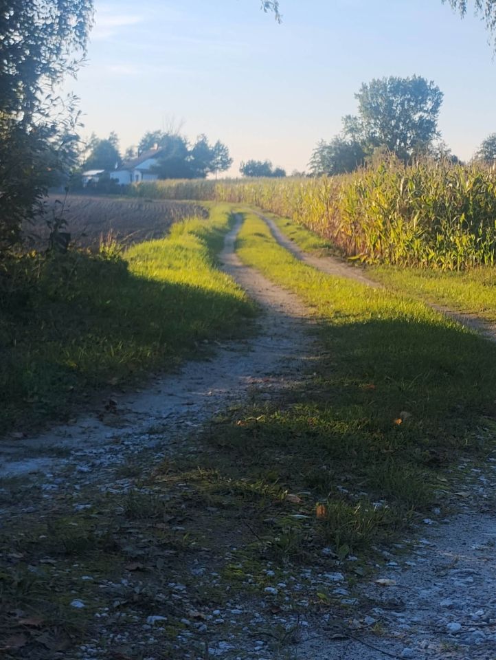 gospodarstwo, 5 pokoi Nowa Obra. Zdjęcie 5