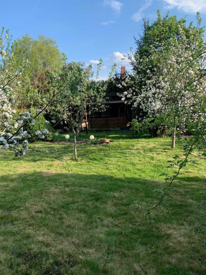 Działka rekreacyjna Chorzów, ul. Łagiewnicka