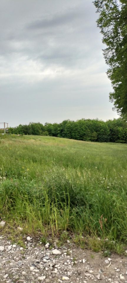 Działka budowlana Widlino. Zdjęcie 2