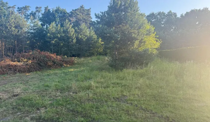 Działka budowlana Siedliska