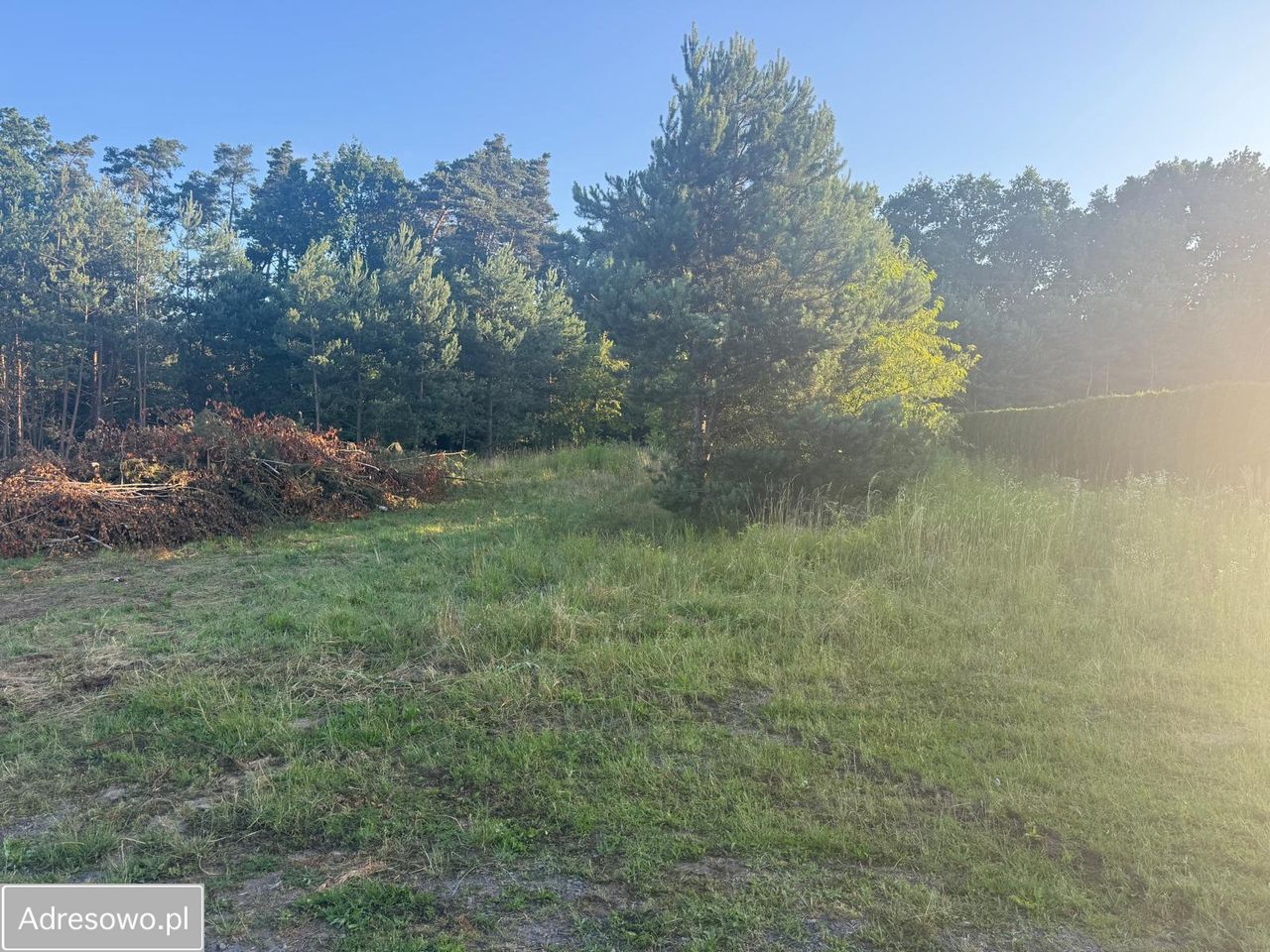 Działka budowlana Siedliska