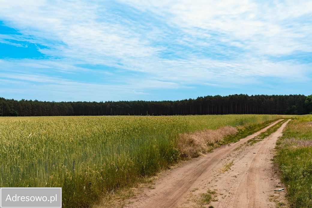 Działka budowlana Nietków. Zdjęcie 12