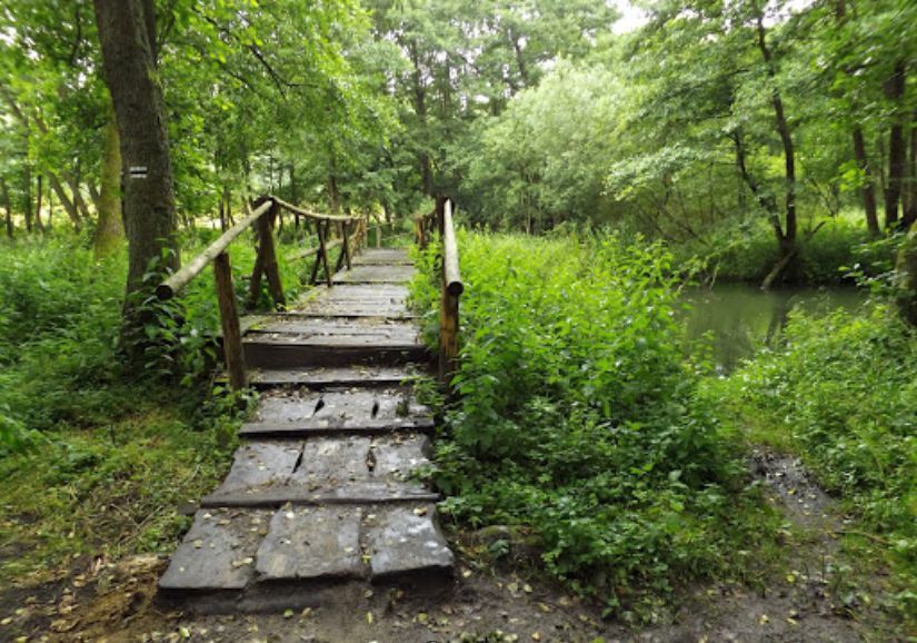 Działka budowlana Łapino Kartuskie. Zdjęcie 10