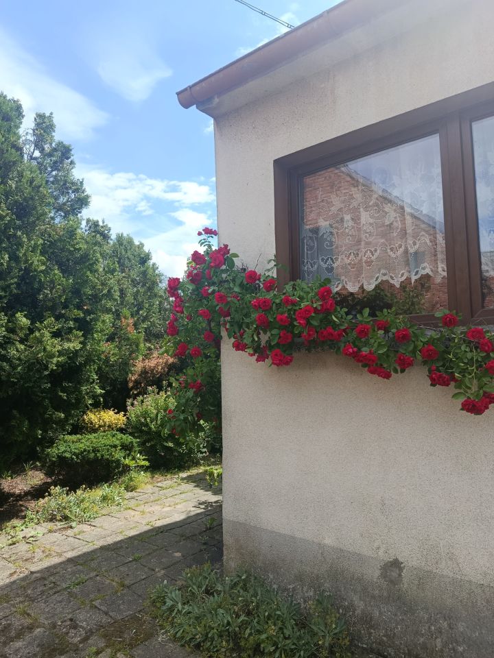 dom wolnostojący, 5 pokoi Walerianów. Zdjęcie 31