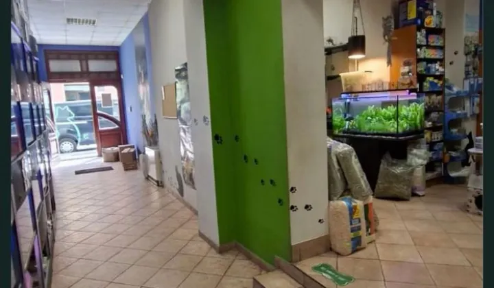 Lokal Świdnica, ul. Franciszkańska