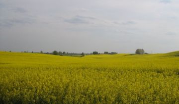 Działka rolna Mikołajki Pomorskie