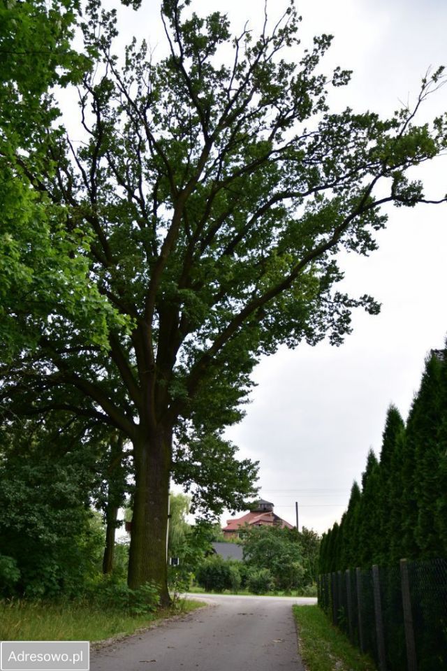 Działka budowlana Skierniewice, ul. Bielańska. Zdjęcie 10