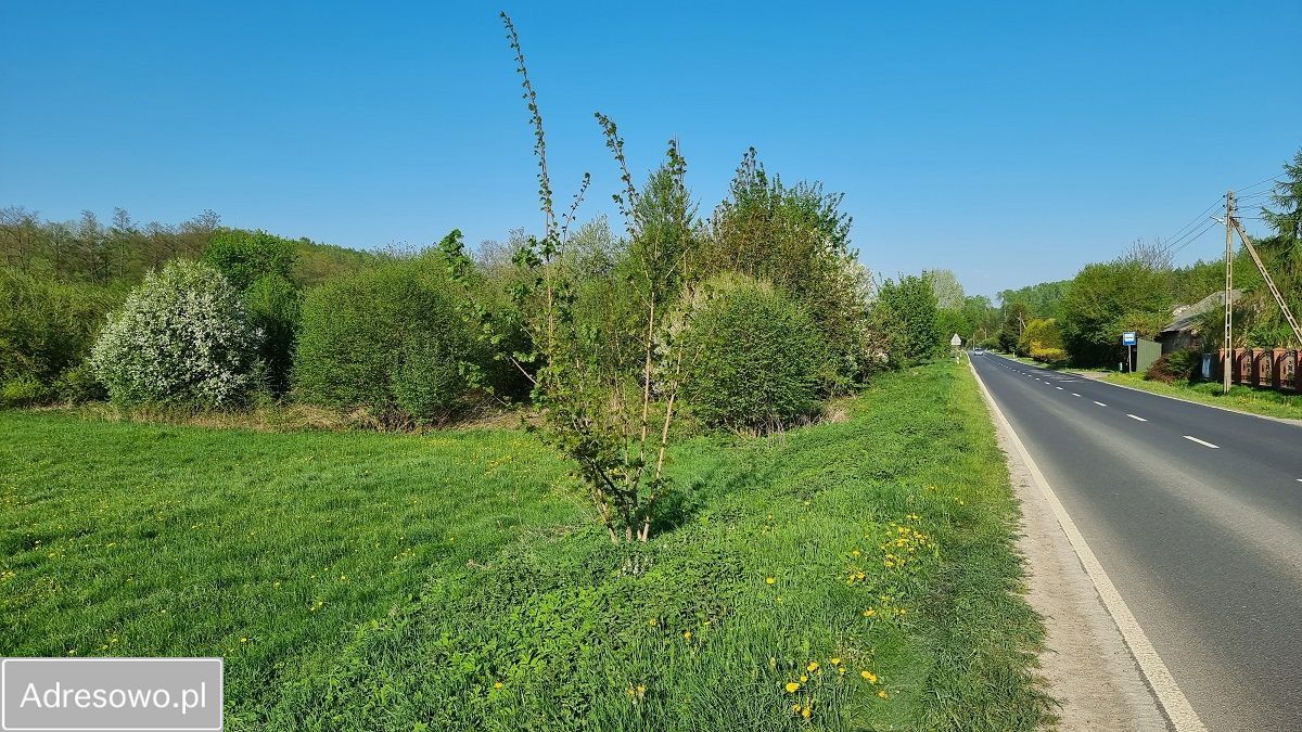 Działka rolna Łąki. Zdjęcie 7
